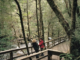 Franklin River Nature Trail - Tourism Adelaide 0