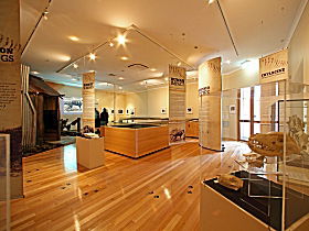 Tasmanian Tiger Exhibition - Tourism Adelaide 0