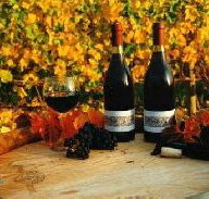 Craigow Vineyard - Tourism Adelaide