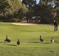 Royal Hobart Golf Club - Tourism Adelaide