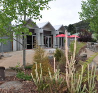 Tin Dragon Interpretation Centre and Cafe - Tourism Adelaide