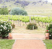 Brindabella Hills Winery - Tourism Adelaide
