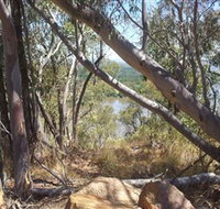 Black Mountain - Tourism Adelaide