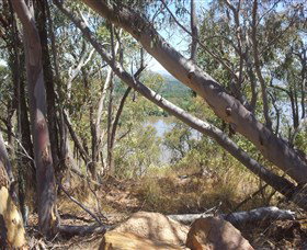 Black Mountain - Tourism Adelaide 0