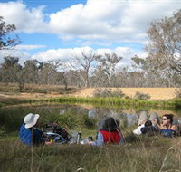 Canberra Nature Park - Tourism Adelaide