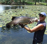Barra Feeding - Tourism Adelaide