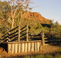 Illamurta Springs Conservation Reserve - Tourism Adelaide