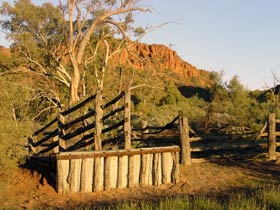 Illamurta Springs Conservation Reserve - Tourism Adelaide 0