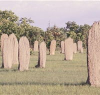 Magnetic Termite Mounds