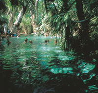 Mataranka Thermal Pool - Tourism Adelaide