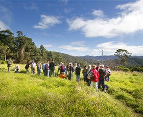 Austinville QLD Tourism Adelaide