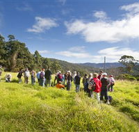 Apple Tree Park - Tourism Adelaide