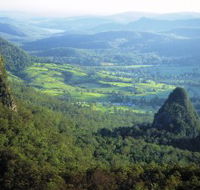 Springbrook Plateau Springbrook National Park - Tourism Adelaide