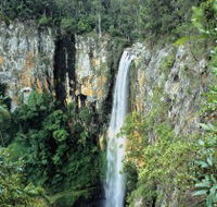 Gondwana Rainforests of Australia - Tourism Adelaide