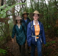 Mount Cougal Springbrook National Park - Tourism Adelaide