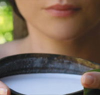 Ikatan Day Spa - Tourism Adelaide