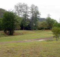 Brooyar State Forest - Tourism Adelaide
