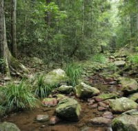 Amamoor State Forest - Tourism Adelaide