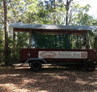 Apallonian Hotel - Tourism Adelaide