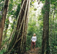 Wet Tropics - Tourism Adelaide