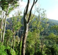 Smiths Track Barron Gorge National Park - Tourism Adelaide