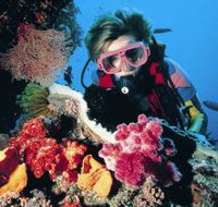 Osprey Reef - Tourism Adelaide