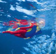 Pixie Pinnacle Dive Site - Tourism Adelaide