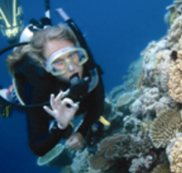Moore Reef Dive Site - Tourism Adelaide