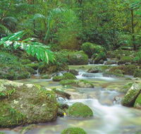Mossman Gorge Daintree National Park - Tourism Adelaide