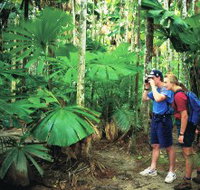 Mount Sorrow Ridge Trail Daintree National Park - Tourism Adelaide