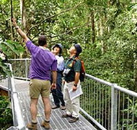 Daintree Discovery Centre - Tourism Adelaide