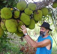 Cape Trib Exotic Fruit Farm - Tourism Adelaide