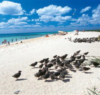 Michaelmas and Upolo Cays National Park - Tourism Adelaide