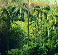 Fern Tree Pool and Giant's Chair Circuit - Tourism Adelaide