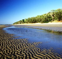 Burrum Coast National Park - Tourism Adelaide