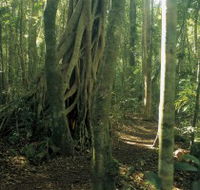 Mount Bithongabel - Tourism Adelaide