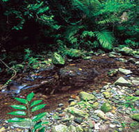 Wompoo Walk - Tourism Adelaide