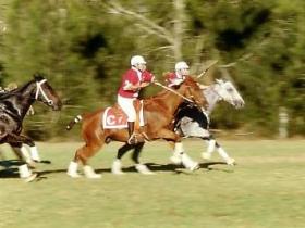 Warwick QLD Tourism Adelaide