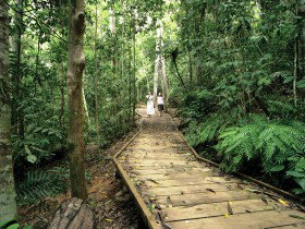 Malanda QLD Tourism Adelaide