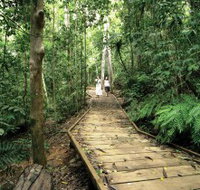 Lake Barrine Circuit Track Crater Lakes National Park - Tourism Adelaide