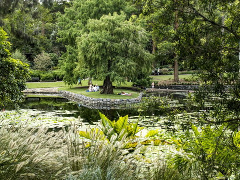 Brisbane Botanic Gardens Mount Coot-tha - Tourism Adelaide 1