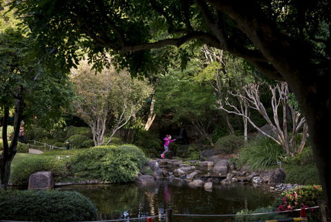 Brisbane Botanic Gardens Mount Coot-tha - Tourism Adelaide 2