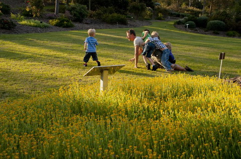 Brisbane Botanic Gardens Mount Coot-tha - Tourism Adelaide 5
