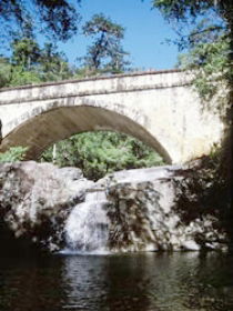 Savannah ACT Tourism Adelaide