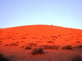 French Line - Simpson Desert - Tourism Adelaide 0