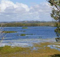 Lake Barfield - Tourism Adelaide