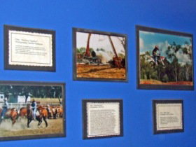 Town Hall Photographic Display - Tourism Adelaide 0
