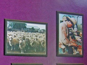 Charleville Photographic Display - Tourism Adelaide 0