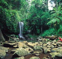 Tamborine National Park - Tourism Adelaide
