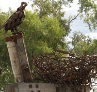 Blackall Sculpture Trail - Tourism Adelaide